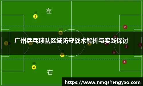 广州乒乓球队区域防守战术解析与实践探讨