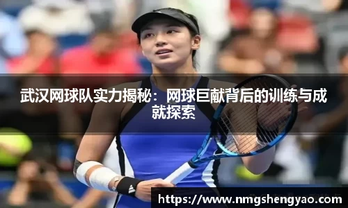 武汉网球队实力揭秘：网球巨献背后的训练与成就探索